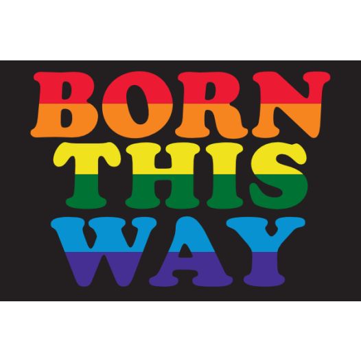Vlag Born This Way 120x180cm