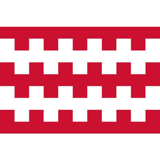 Vlag Dongen 30x45cm