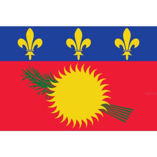 Vlag Guadeloupe 30x45cm