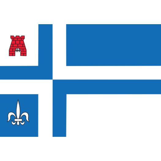 Vlag Noordoostpolder 50x75cm