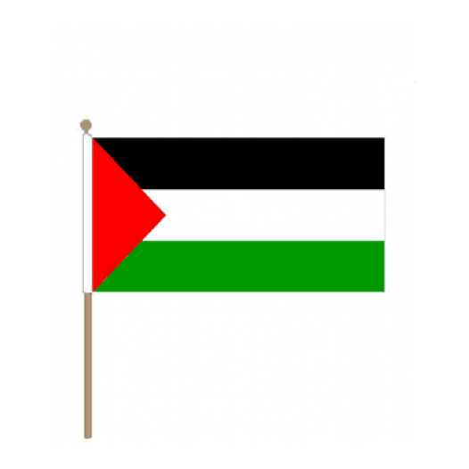 Zwaaivlag Palestina 30x45cm Stof