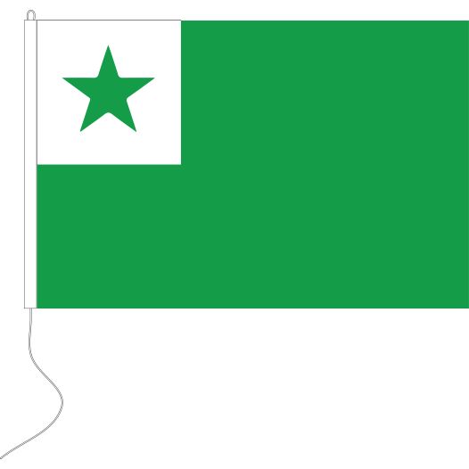 Esperanto vlag 30x45cm