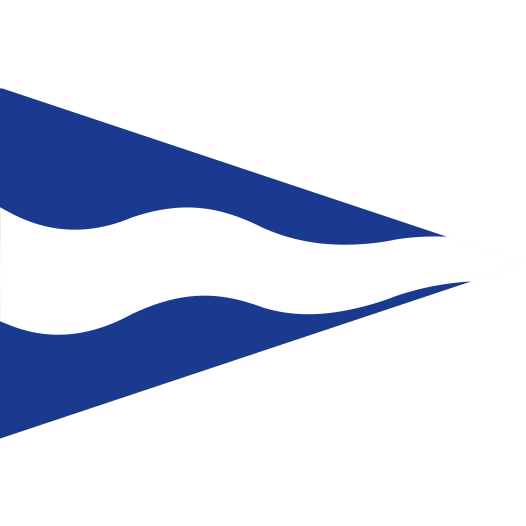 Puntvlag Maassluis