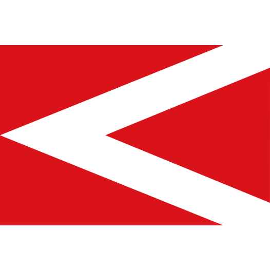 Vlag Anderlues 200x300cm