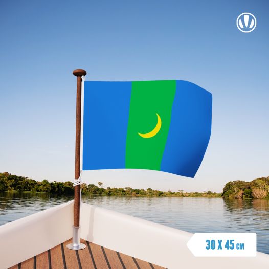 Vlag Bajan-Olgi 30x45cm