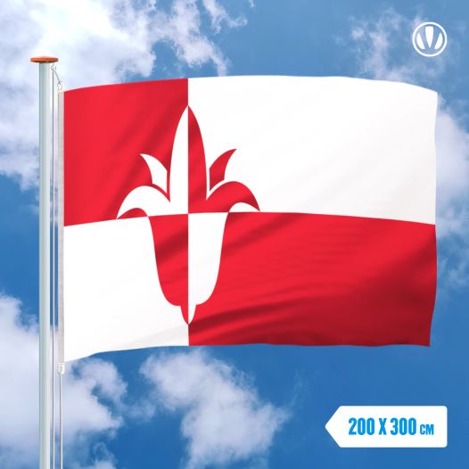 Vlag Bernheze 200x300cm