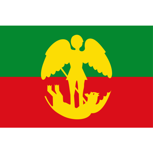 Vlag Brussel (gemeente) 70x100cm