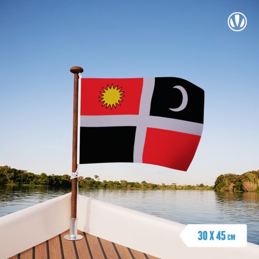 Vlag Csangos 30x45cm