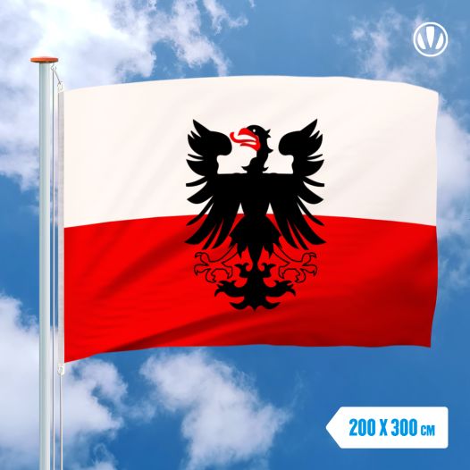 Deventer vlag 200x300cm
