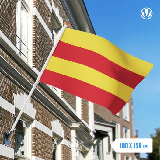 Vlag Heemstede 100x150cm