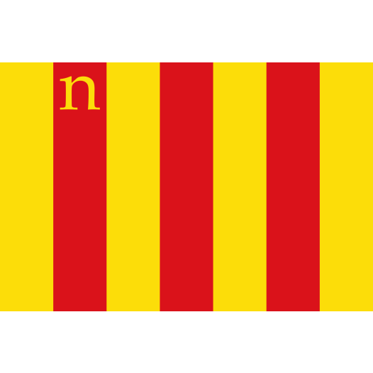 Vlag Niel 70x100cm