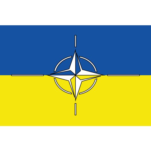 Vlag Oekraine NAVO 100x150 cm Copyright