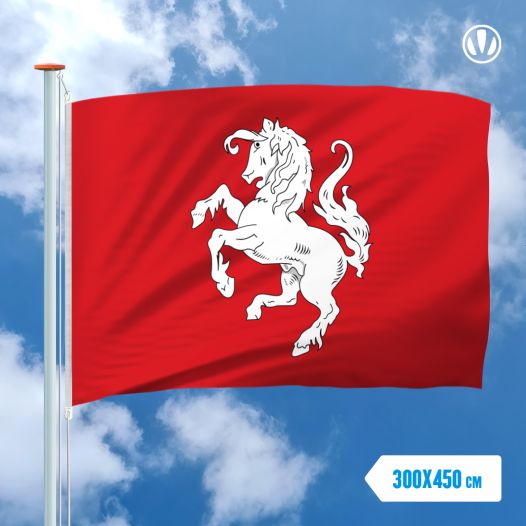 Vlag Officiele Twentse Ros 300x450cm