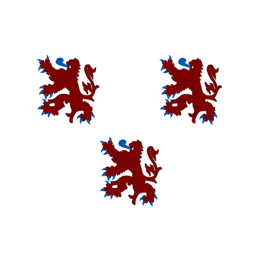 Vlag Oud-Turnhout 100x150cm