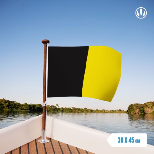 Vlag Sneek 30x45cm