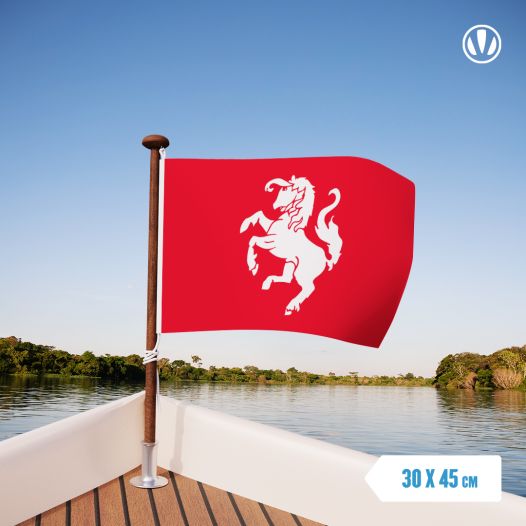 Vlag Twente 30x45cm