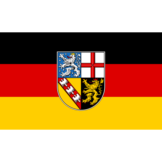 Vlag Saarland 120x180cm