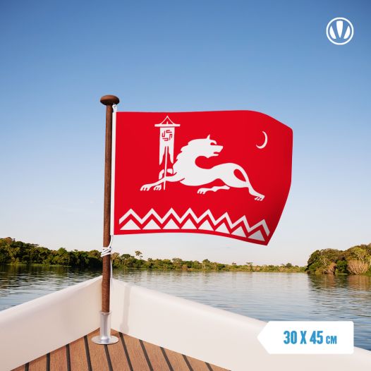 Vlag van de Avaren 30x45cm