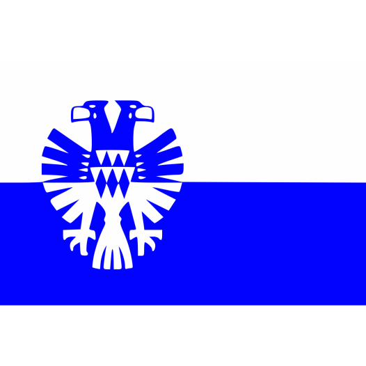 Vlag Arnhem 30x45cm