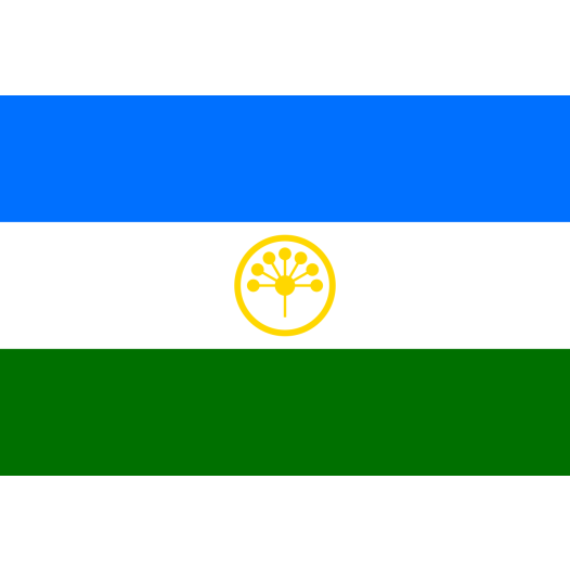 Vlag Basjkirostan 50x75cm