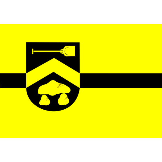 Vlag Borger-Odoorn 70x100cm