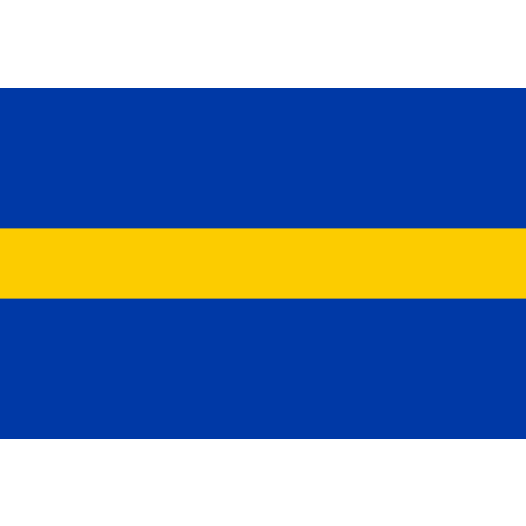 Vlag Borne 70x100cm