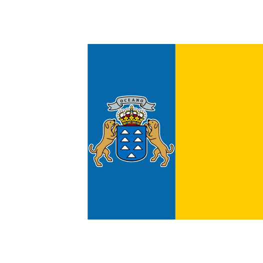 Vlag Canarische Eilanden 70x100cm