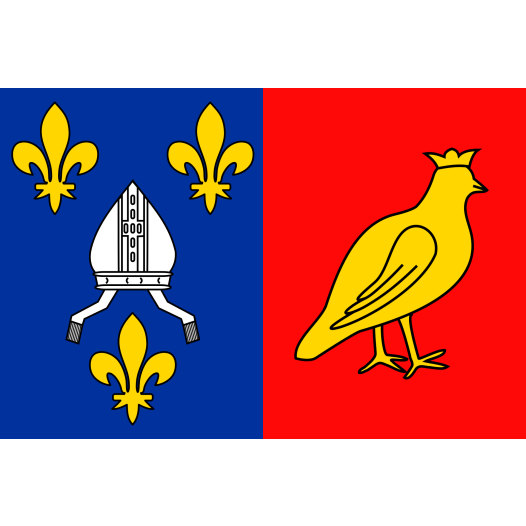 Vlag Charente-Maritime 120x180cm