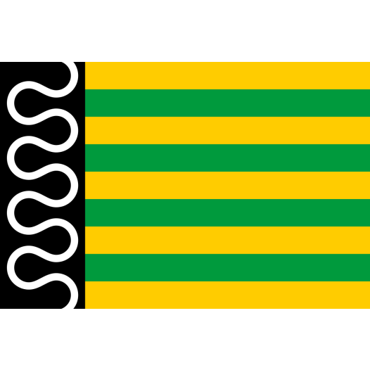 Vlag De Wolden 70x100cm