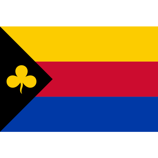 Vlag Delfzijl 30x45cm