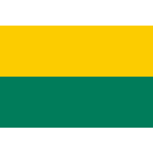 Vlag Den Haag 70x100cm