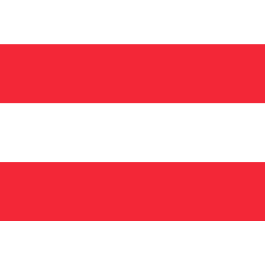 Vlag Dordrecht 70x100cm