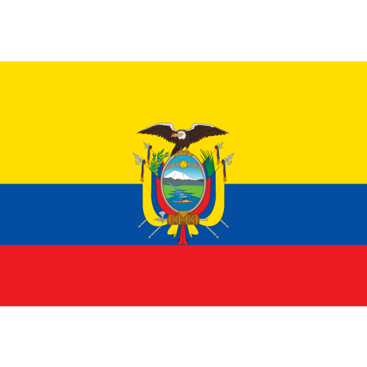Vlag Ecuador 50x75cm