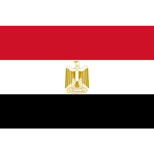 Vlag Egypte 70x100cm