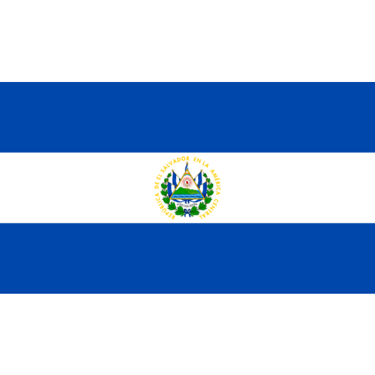 Vlag El Salvador 30x45cm