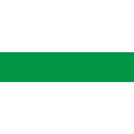Vlag Groningen Stad 50x75cm