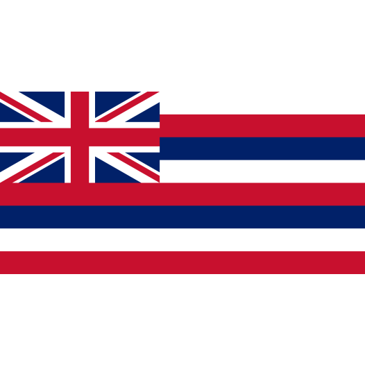 Vlag Hawaii 30x45cm