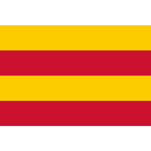 Vlag Heemstede 70x100cm