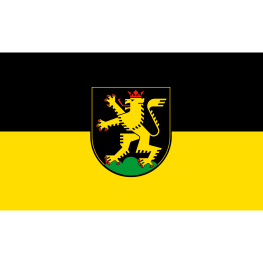 Vlag Heidelberg 100x150cm