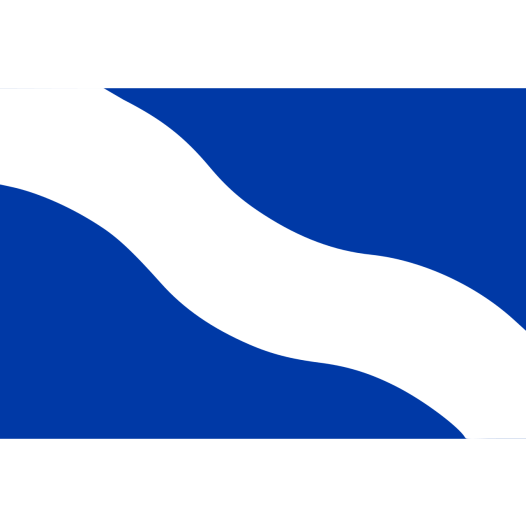Vlag Hengelo 70x100cm