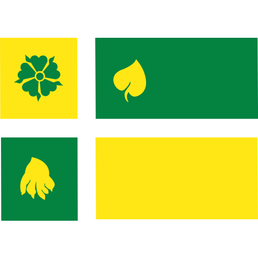 Vlag Hof van Twente 120x180cm