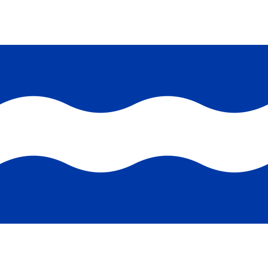 Vlag Maassluis 30x45cm