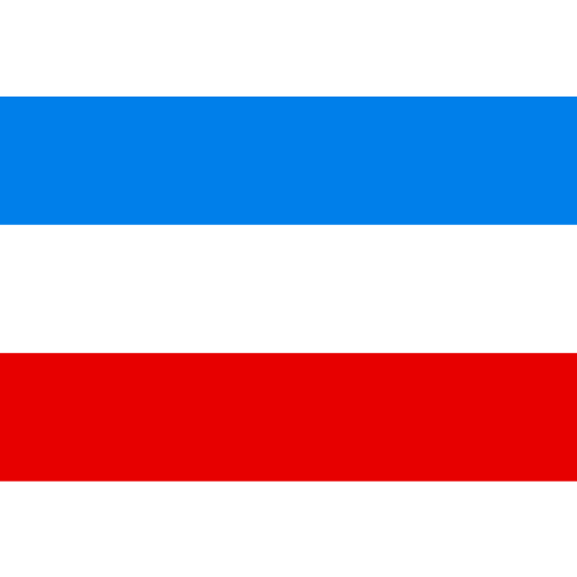 Vlag Mannheim 100x150cm