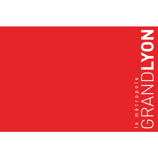 Vlag Métropole de Lyon 200x300cm