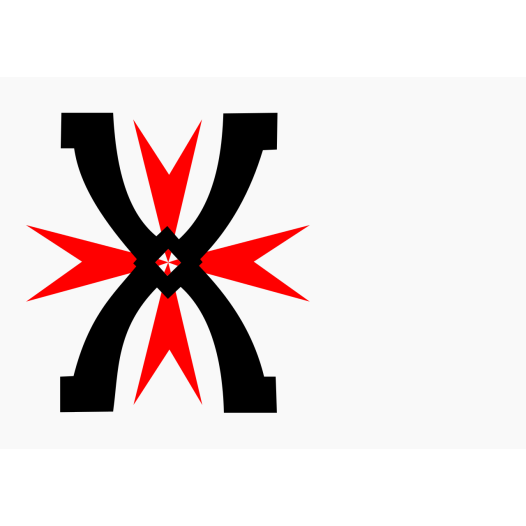 Vlag Montfoort 70x100cm
