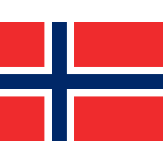 Vlag Noorwegen 40x60cm - Spunpoly