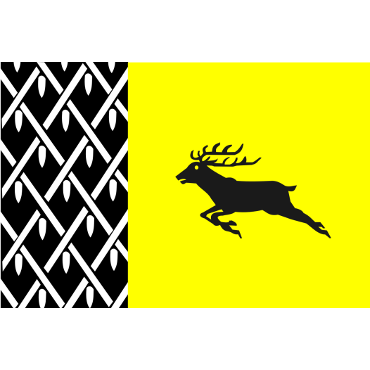 Vlag Nunspeet 30x45cm