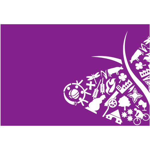 Vlag Oost Gelre 70x100cm