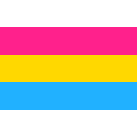 Panseksueel vlag 200x300cm