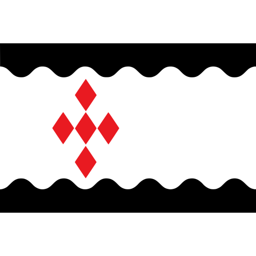 Vlag Peel en Maas 70x100cm
